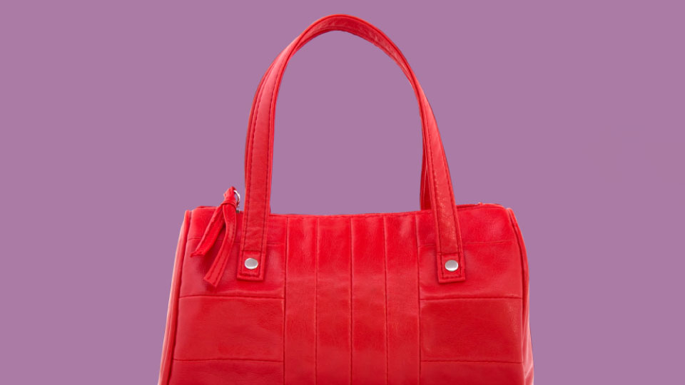 handbag cover