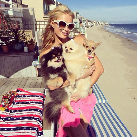 Paris Hilton & Pets