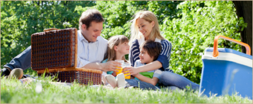 Family enjoying a picnic