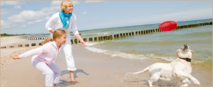 Grandmother and grandaughter playing frizby with dog
